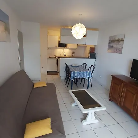 Beau T2, Tres Calme, 3*, Premiere Ligne De La Marina En Roussillon Lejlighed *