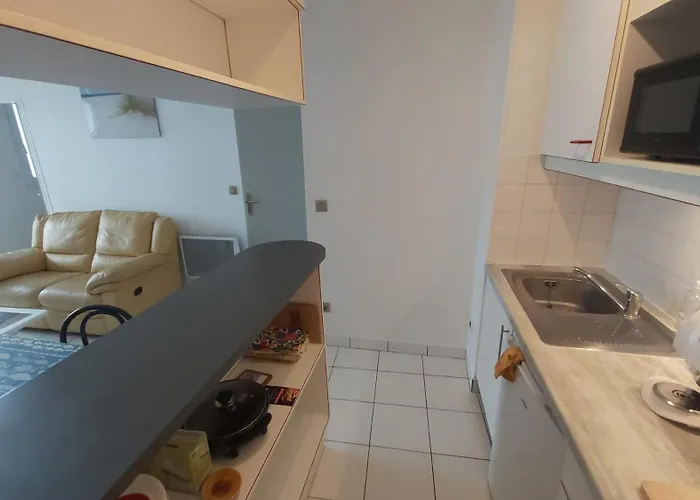Apartman Beau T2, Tres Calme, 3*, Premiere Ligne De La Marina En Roussillon *