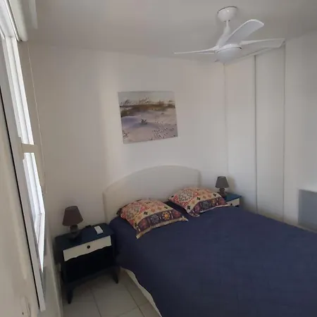 Appartamento Beau T2, Très Calme, 3*, Première Ligne De La Marina En Roussillon *