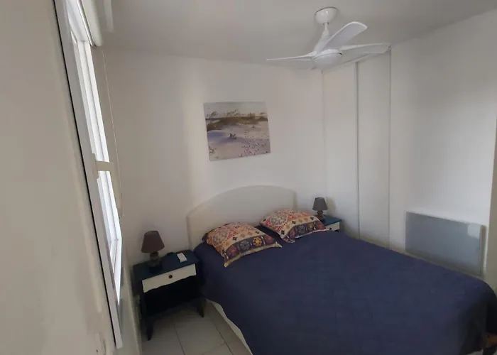 شقة Beau T2, Tres Calme, 3*, Premiere Ligne De La Marina En Roussillon *